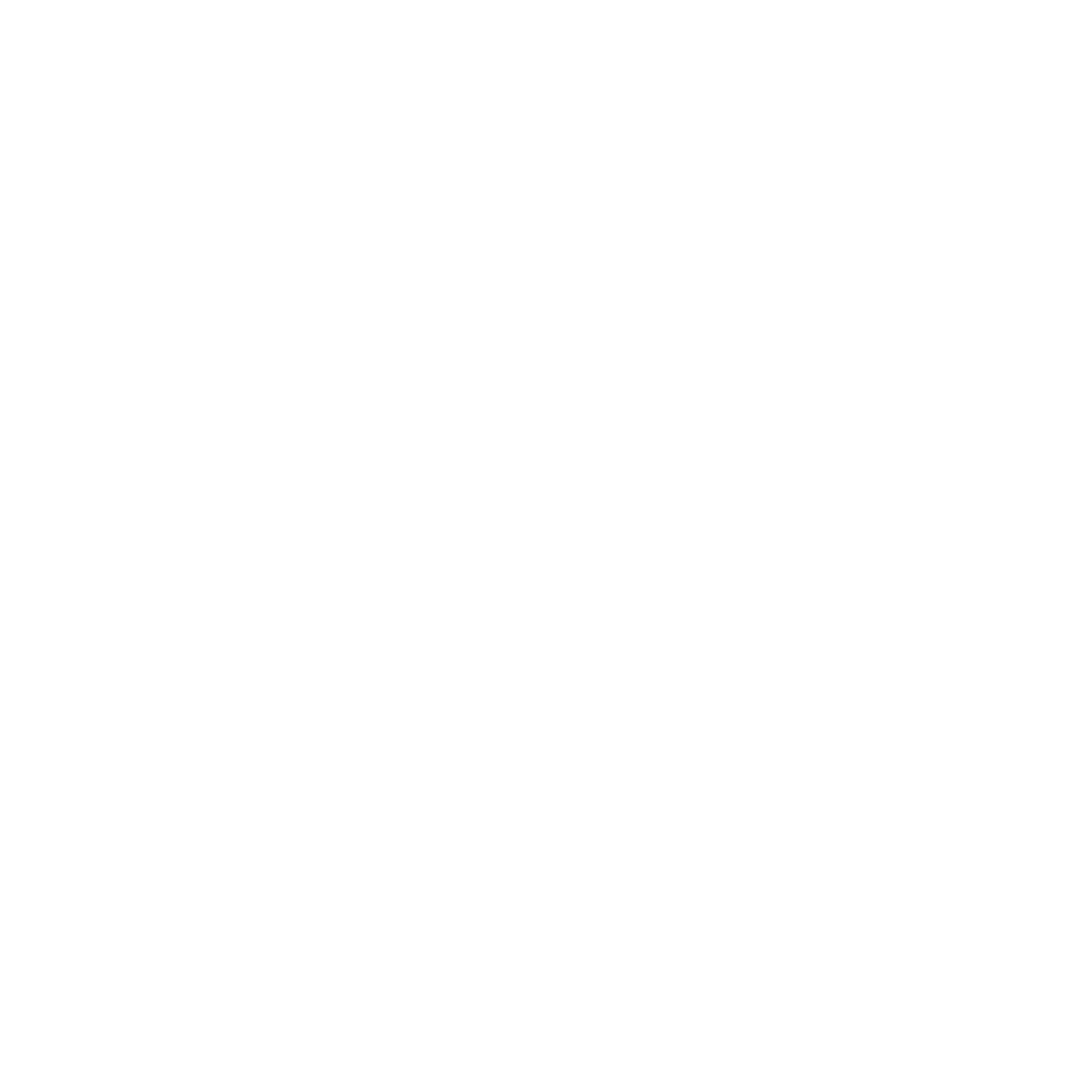 icon pdf